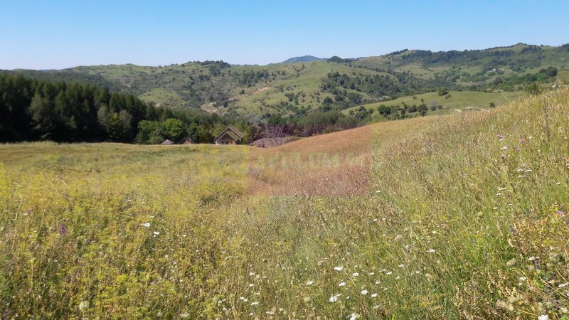 Teren intravilan de vanzare in Breaza (dezvoltare imobiliara)