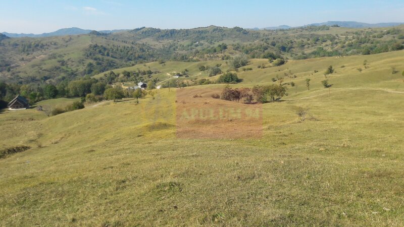 Teren intravilan de vanzare in Breaza (dezvoltare imobiliara)