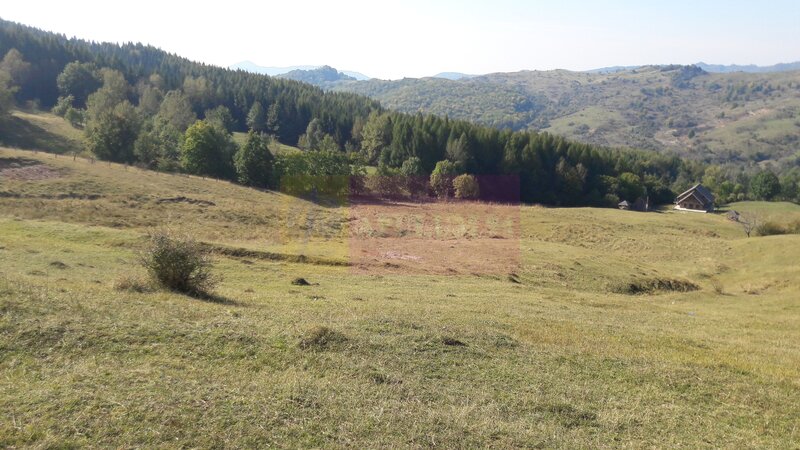 Teren intravilan de vanzare in Breaza (dezvoltare imobiliara)